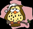 Logo Hradeck� sova