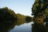 hksova-2008/dsc01700.jpg