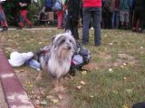 hksova-2009/pic_2009-09-05_17.05.46.jpg