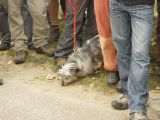 hksova-2009/pic_2009-09-05_16.59.14.jpg
