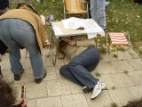 hksova-2009/pic_2009-09-05_16.55.36.jpg