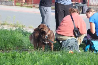 hksova-2026/IMG_2793.JPG
